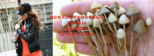 МДМА Дмитров