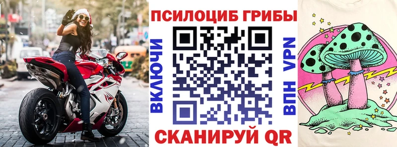 Псилоцибиновые грибы GOLDEN TEACHER  Жуковка 